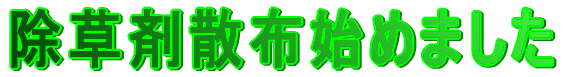 ܎Uzn߂܂