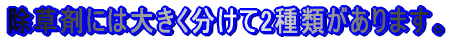 ܂ɂ͑傫2ނ܂B